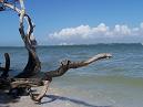 Sanibel Island